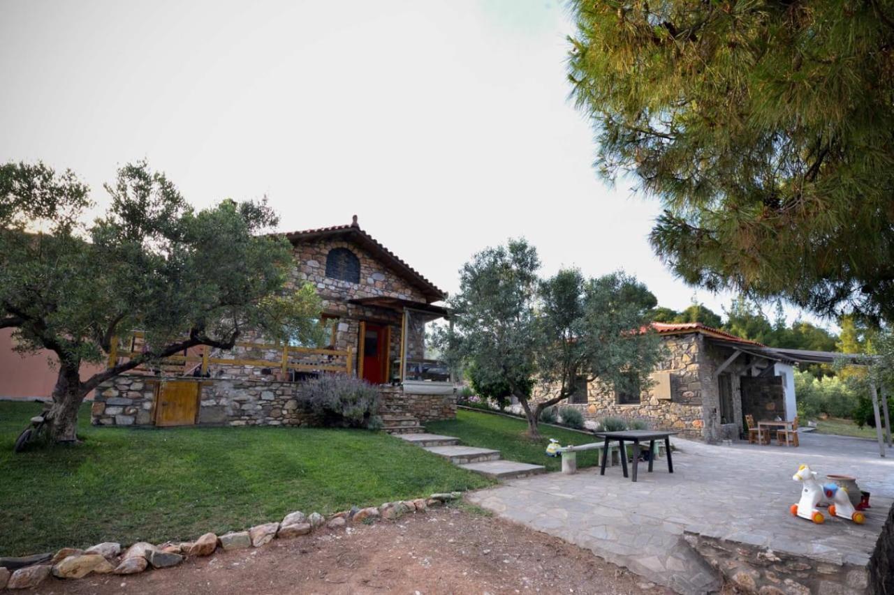 Kladi House Renovated 2023 Villa Nikiti  Buitenkant foto