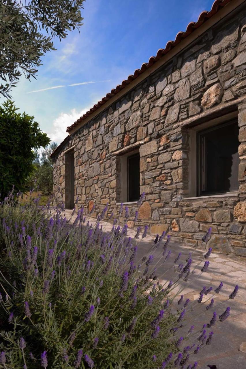 Kladi House Renovated 2023 Villa Nikiti  Buitenkant foto